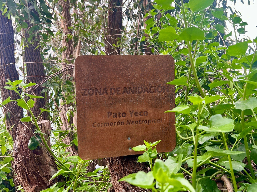 Caleta Horcón-瓦尔帕莱索必去景点