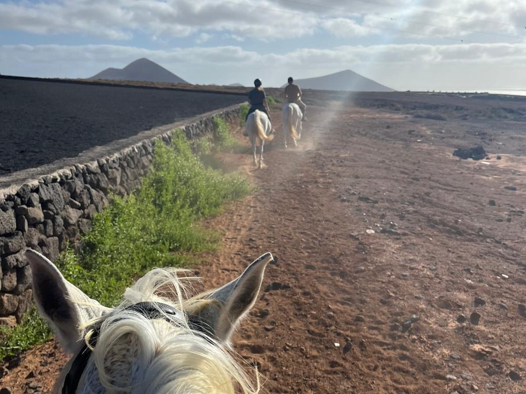 Horses Lanzarote-Teseguite必去景点