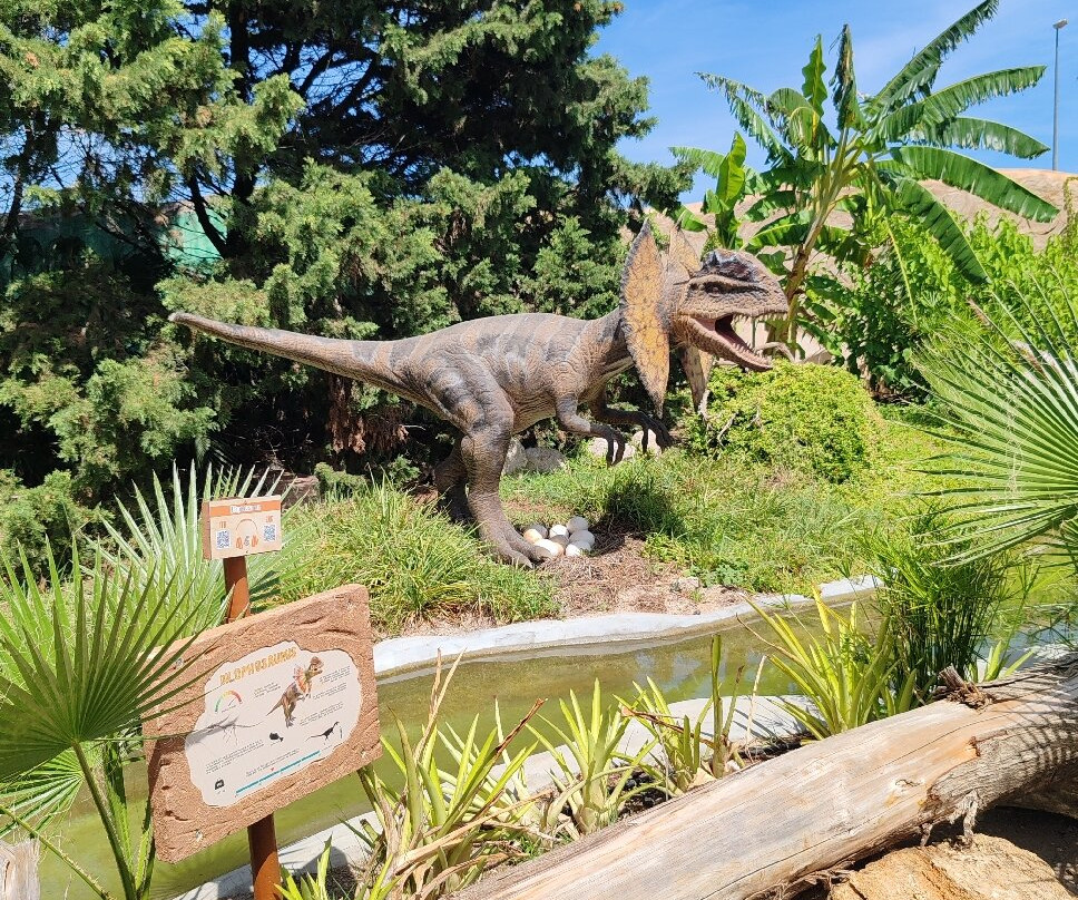 Bioparco Di Sicilia-Carini必去景点