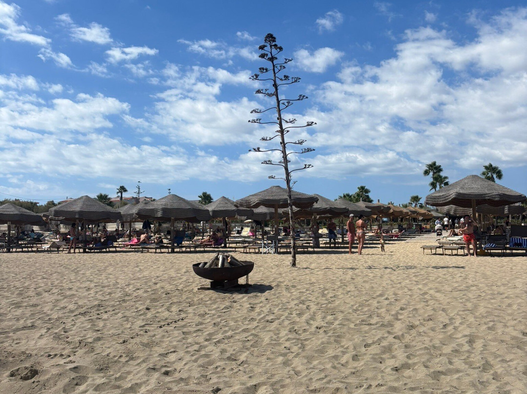 Agua Beach-诺托必去景点