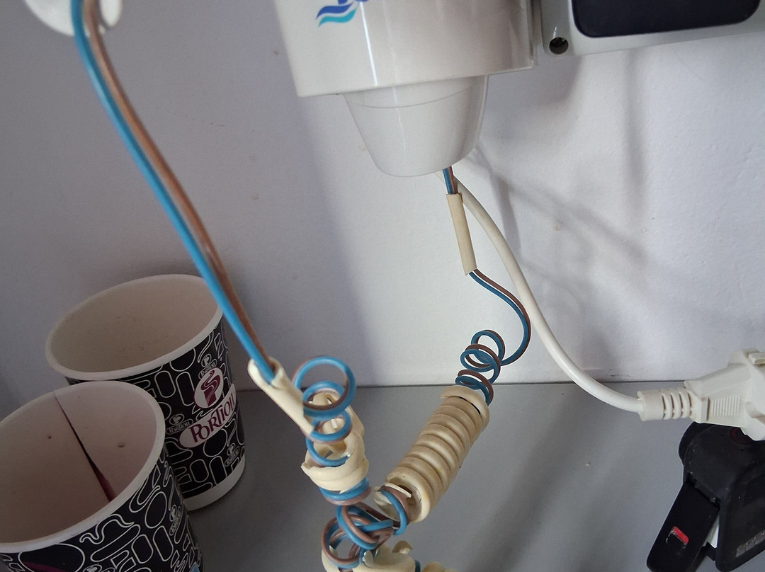 The Old Phoenix主图