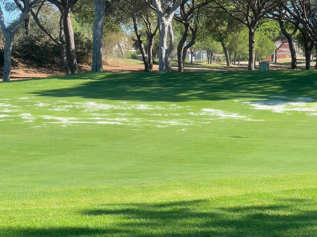Pinheiros Altos-阿尔加威必去景点