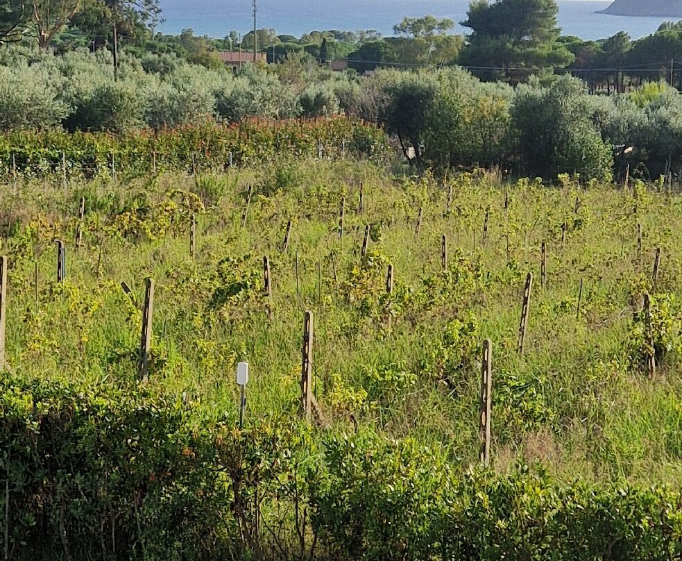 Stile libero b&b主图