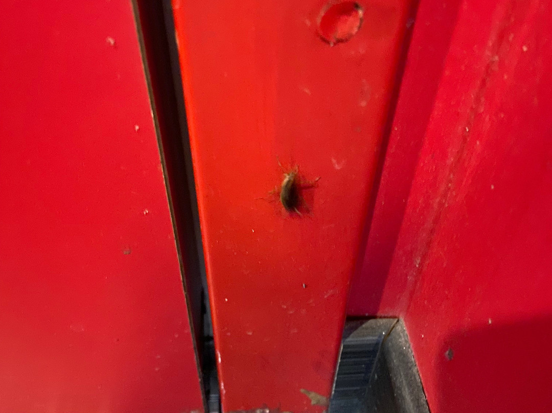 Ramada Encore By Wyndham Aguascalientes主图