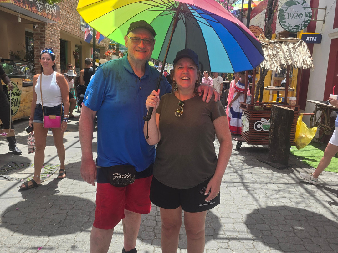 Dominican Atlantic Transfers & Tours-普拉塔港必去景点