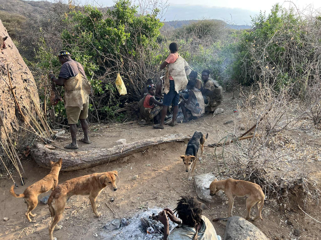 Operation Kilimanjaro-Marangu必去景点