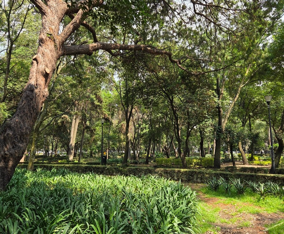 Parque Lincoln-墨西哥城必去景点