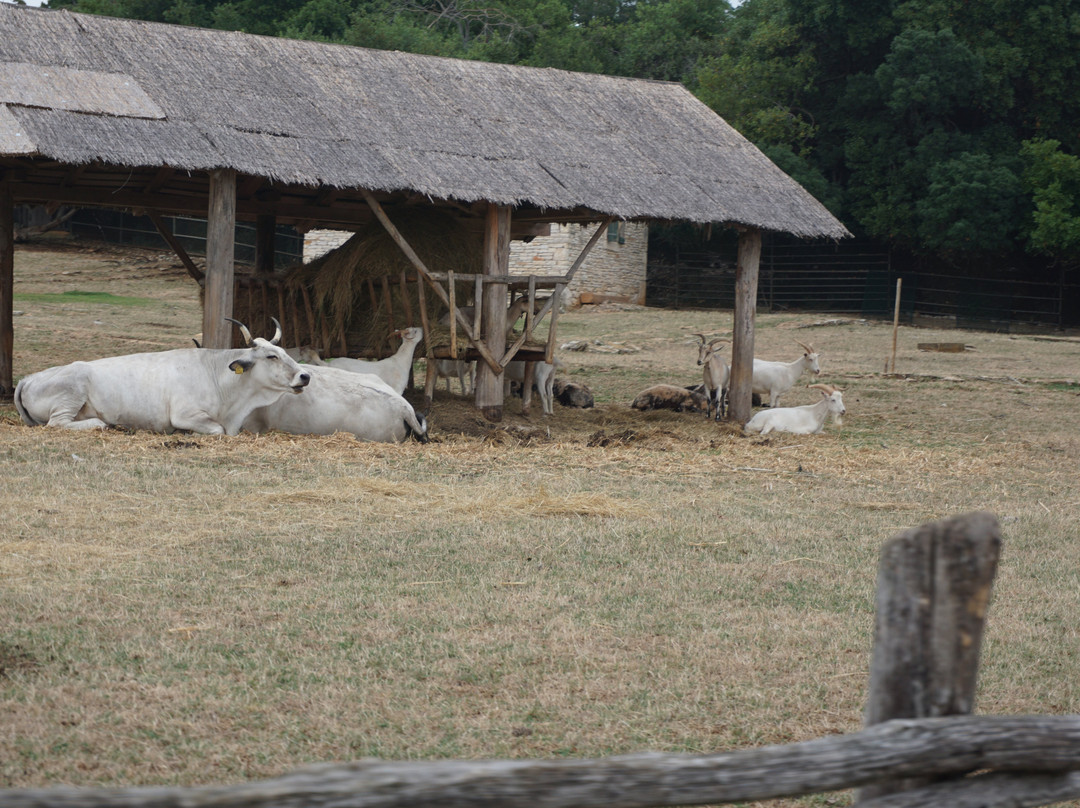 Safari Park-Brijuni National Park必去景点