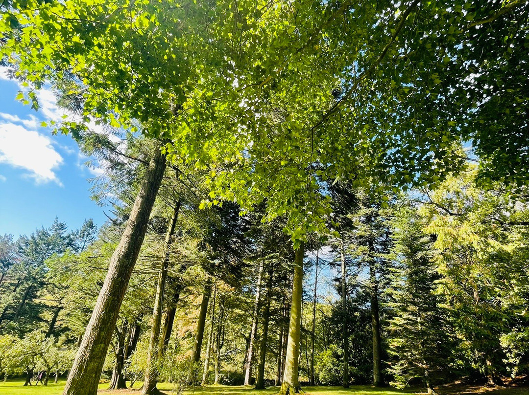 Parcevall Hall Gardens-斯基普顿必去景点