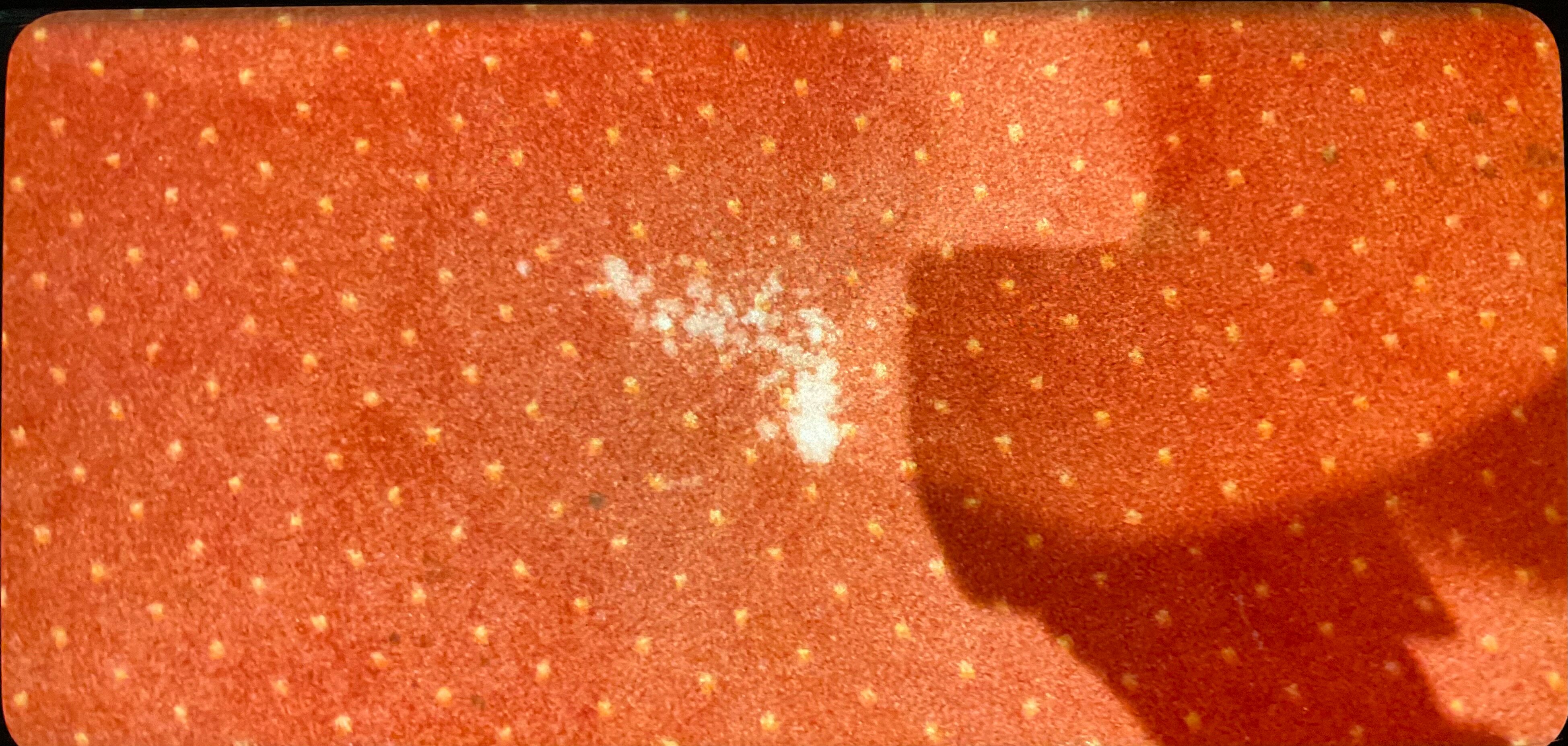 格兰贝尔费德尔酒店-客卧