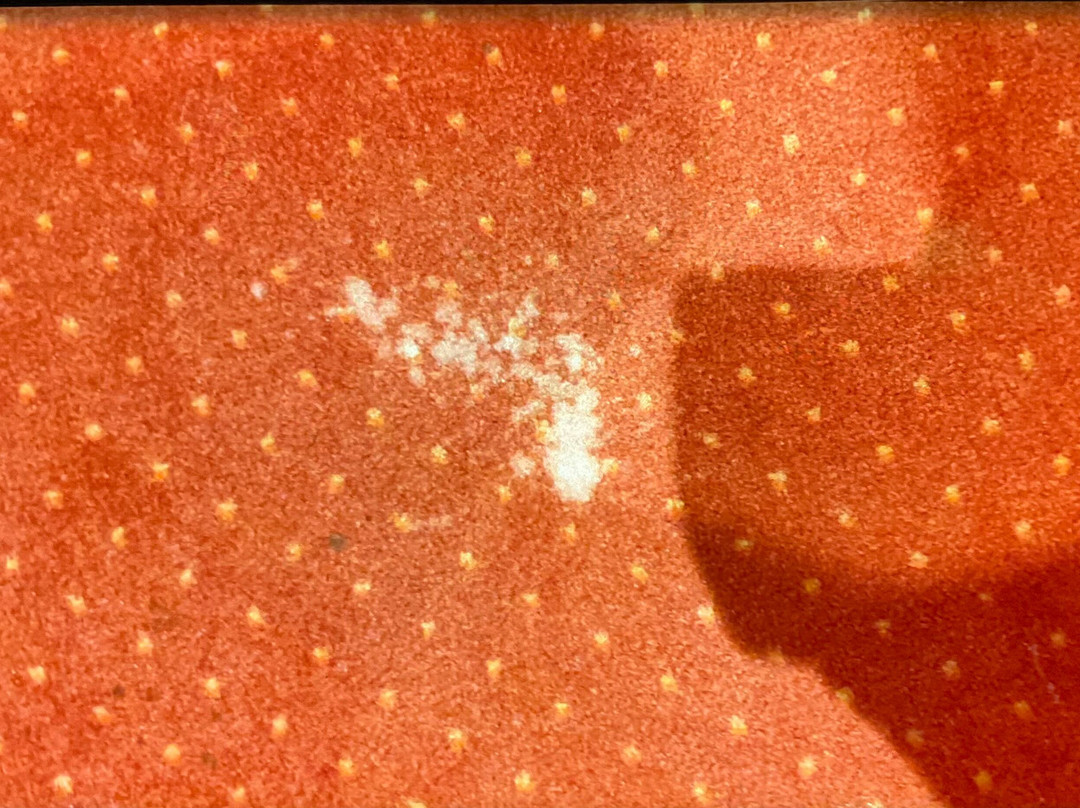 格兰贝尔费德尔酒店主图