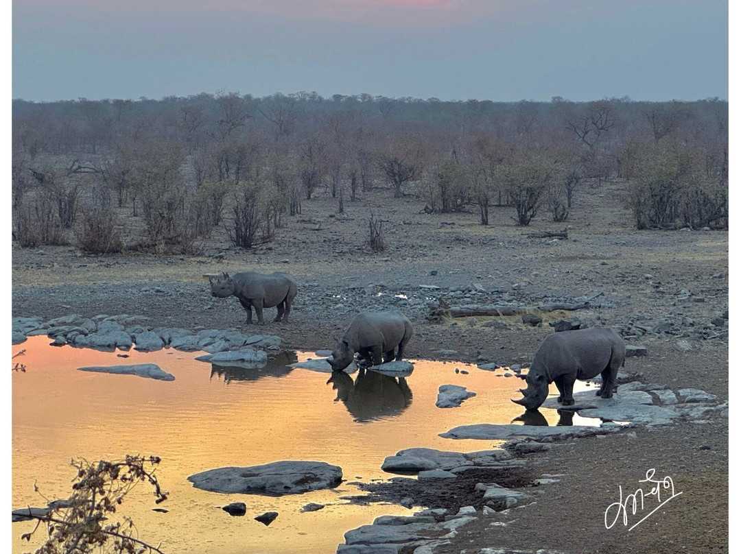 Wild Wind Safaris-温德和克必去景点