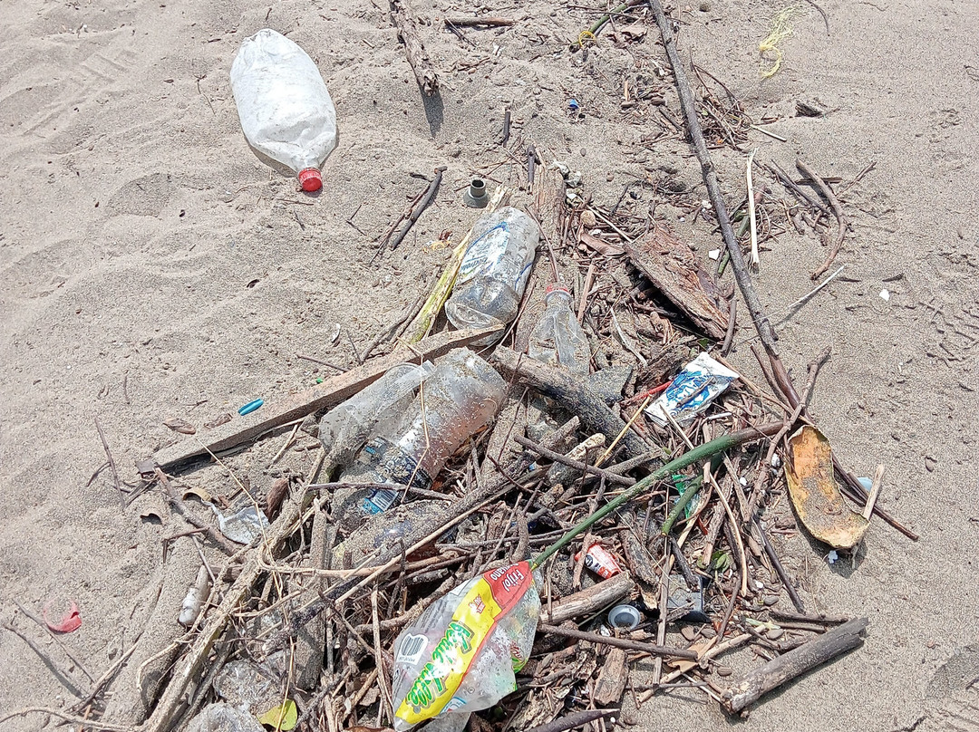 Playa San Pedrito-曼萨尼约必去景点