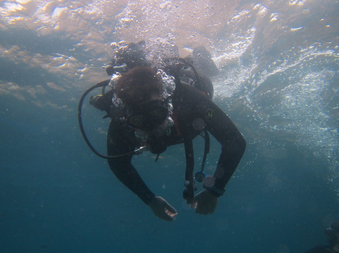 Mardays Dive & Water Experience-哈韦阿必去景点