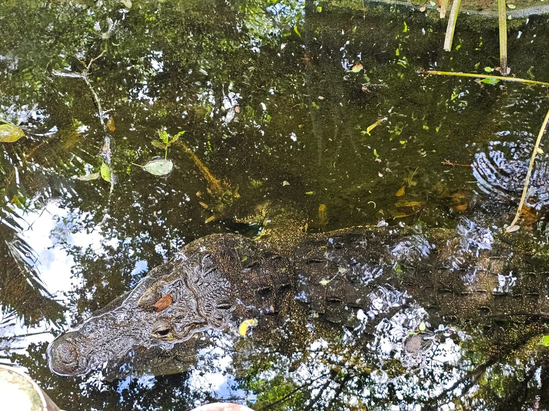 Choco Story uxmal-乌科斯玛必去景点