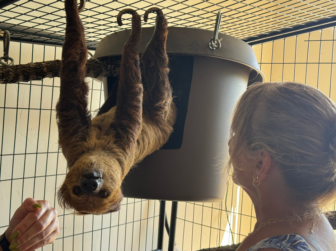 Longneck Manor-弗雷德里克斯堡必去景点