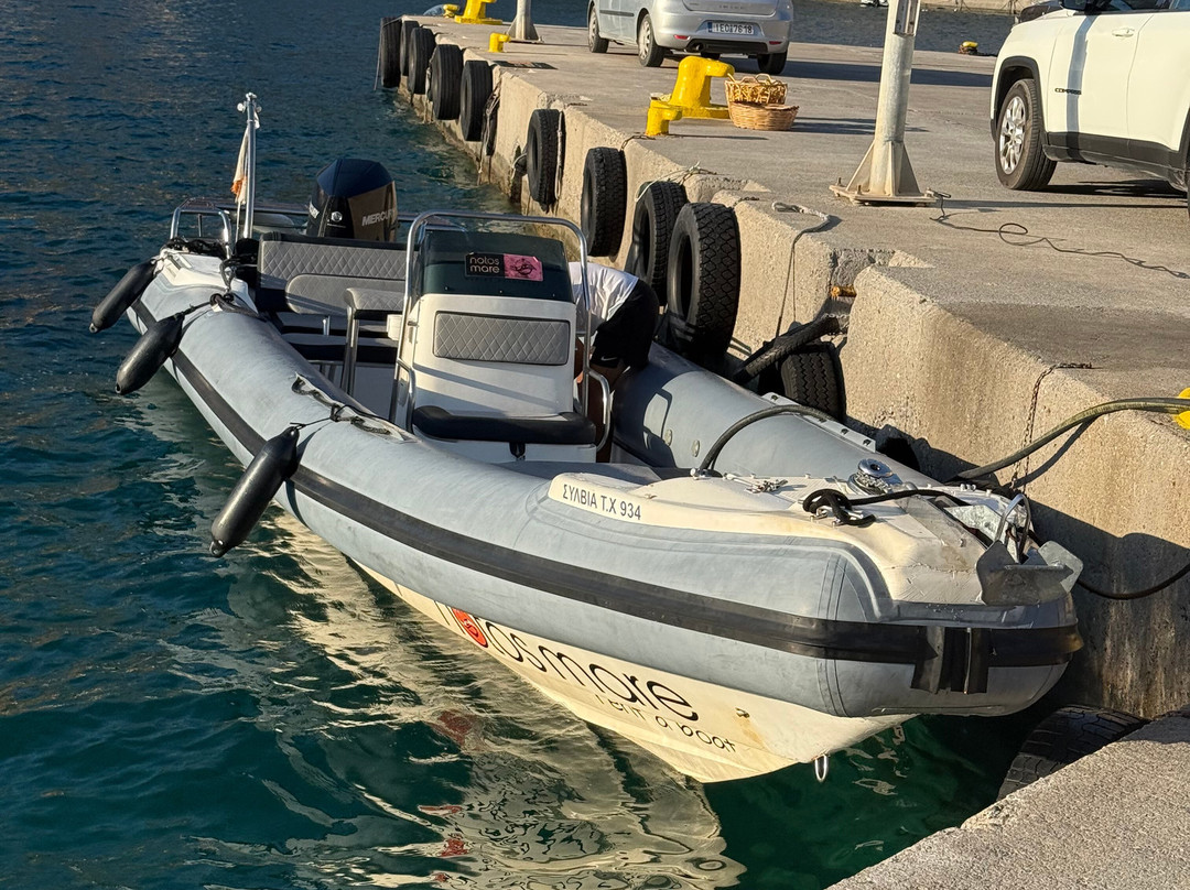 NOTOS MARE MARINE ADVENTURES-干尼亚必去景点