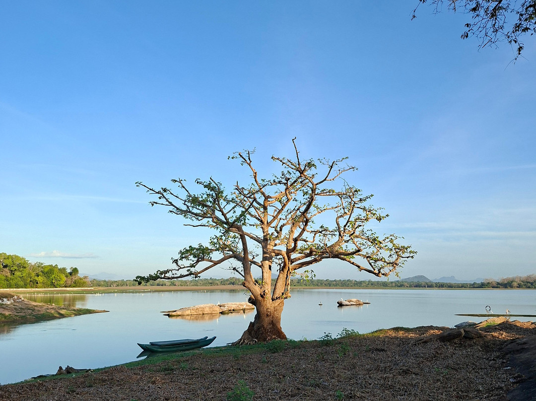 Lahugala Kitulana National Park-Ampara必去景点
