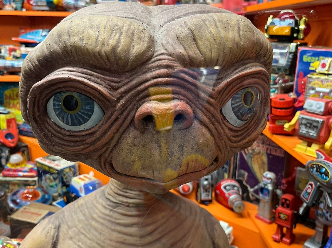 Mountfitchet Castle-斯坦斯特德芒特菲奇特必去景点