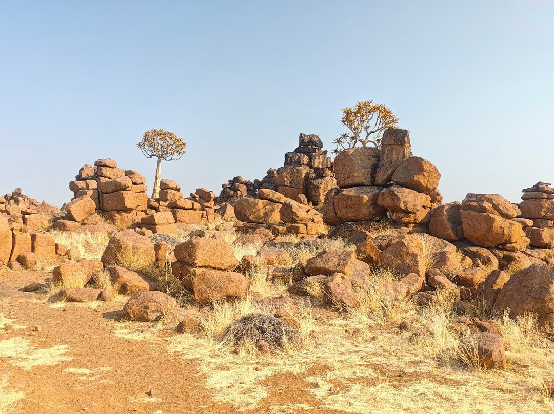 Quivertree Forest and Giant's Playground-Keetmanshoop必去景点