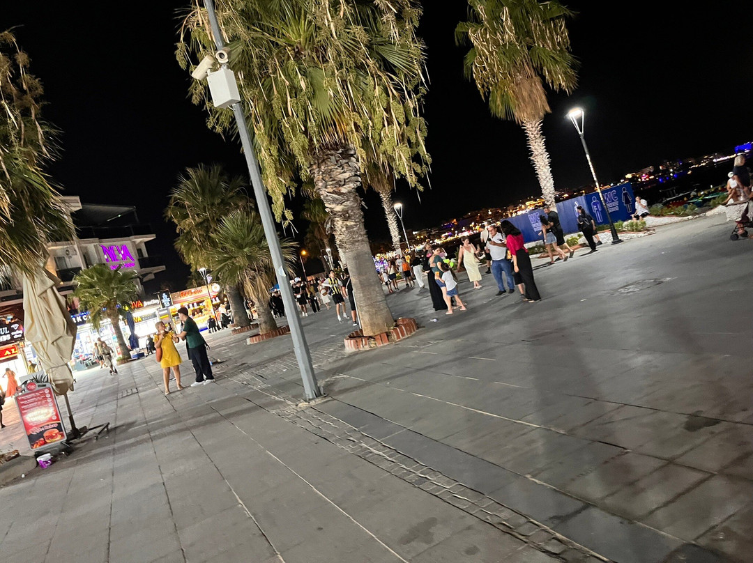 D-Marin Didim Marina-迪迪姆必去景点