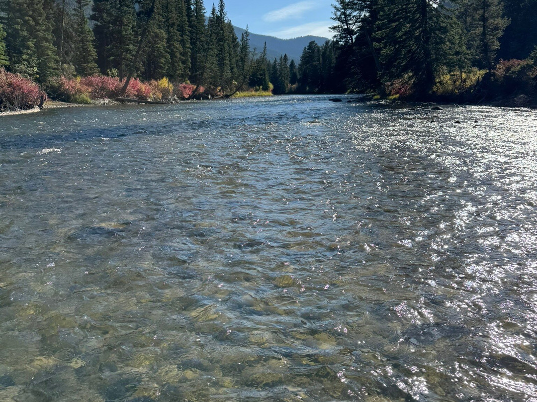 Gallatin River Guides-大斯凯必去景点