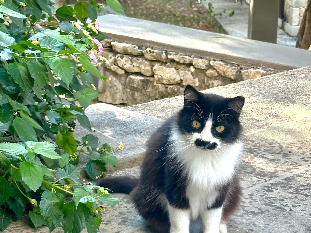 Torri e Merli Hotel主图