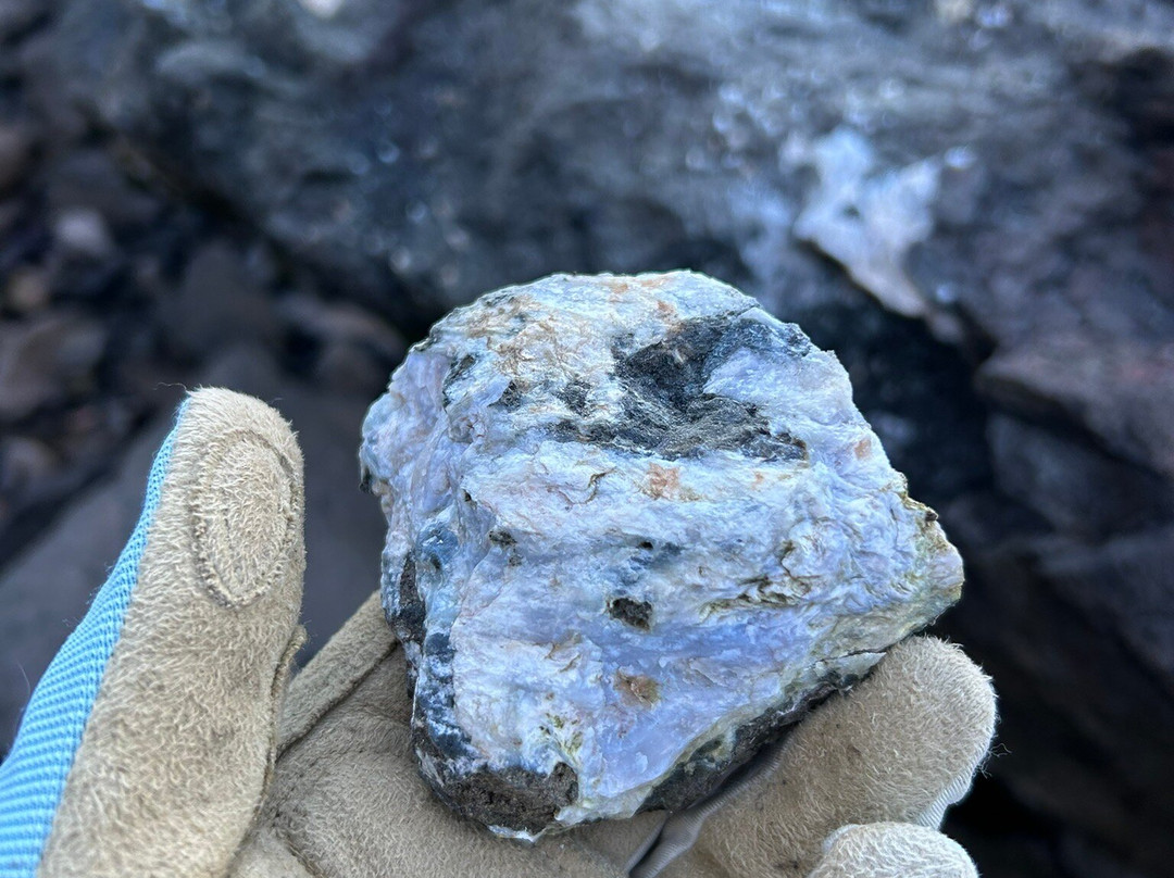 Fundy Treasure Tours-Joggins必去景点