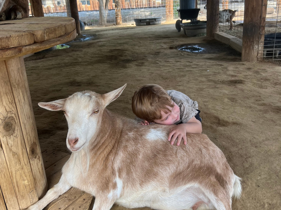 Wildlife World Zoo and Aquarium-Litchfield Park必去景点