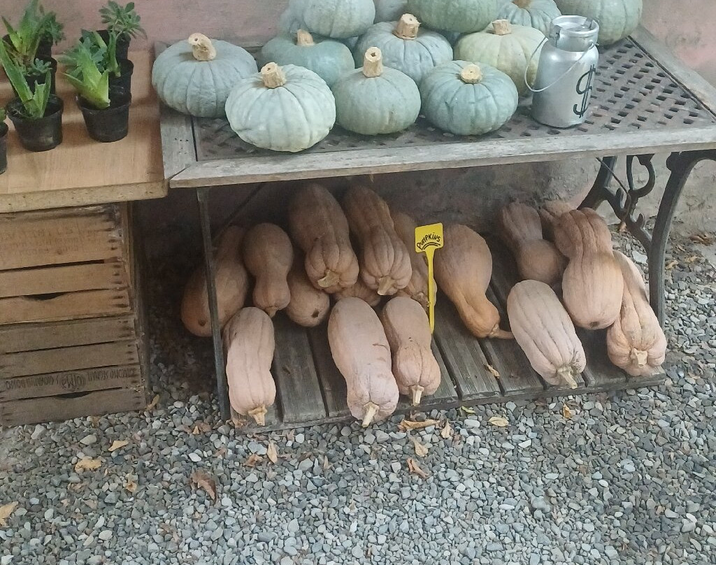 Corte La Volta主图