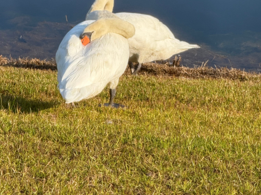 默特尔沙滩-美特尔海滩必去景点
