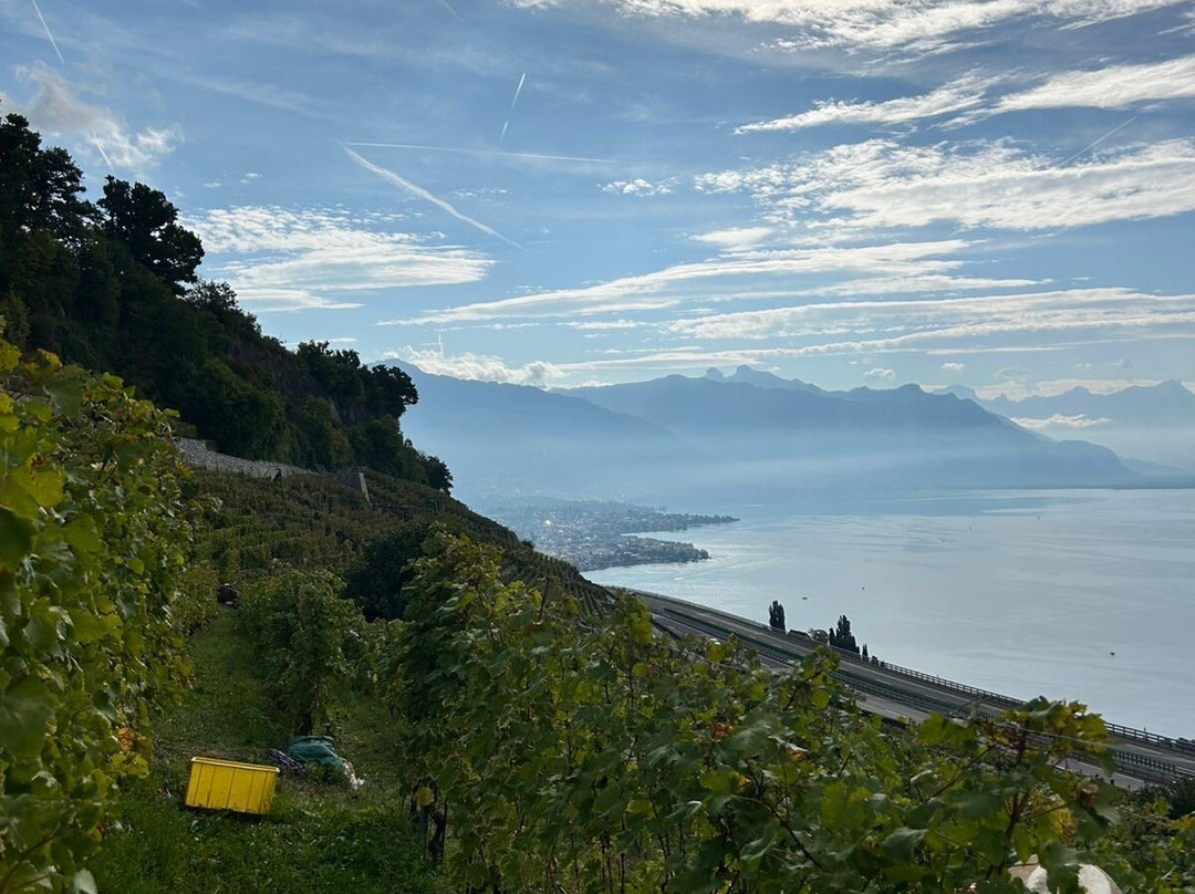 Domaine Des Rueyres- Cossy Et Fils