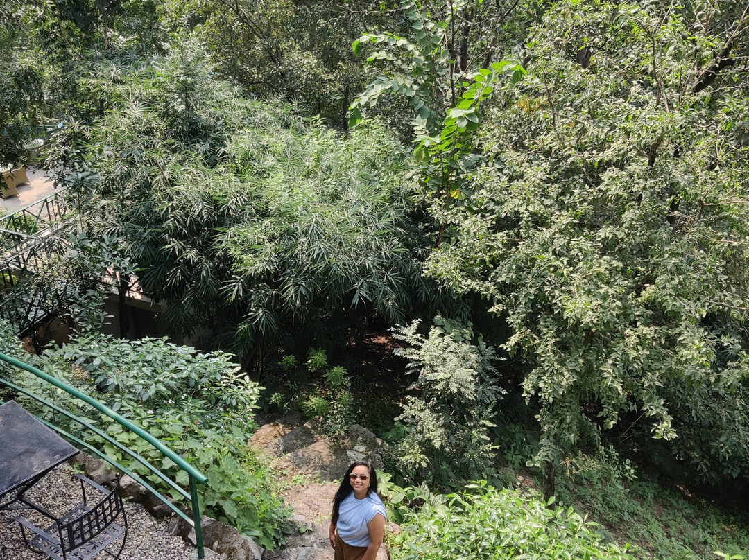 Neemrana's Glasshouse On The Ganges主图