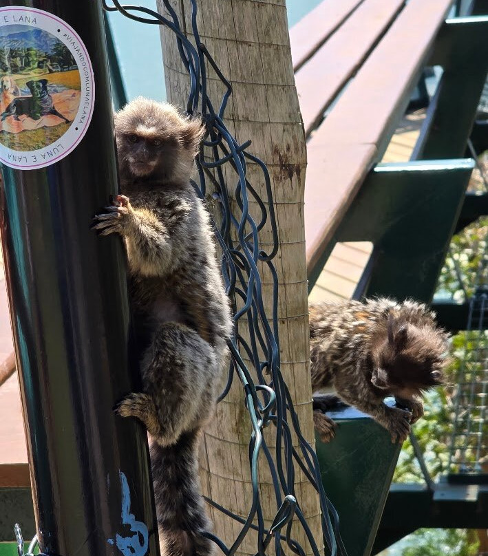 Mirante do Barreiro-伊利亚贝拉必去景点