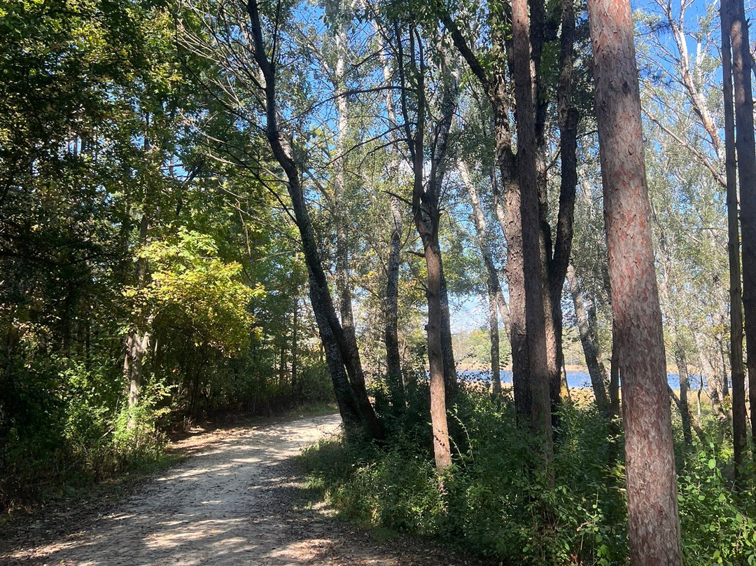 McDonald Woods Forest Preserve-Lake Villa必去景点