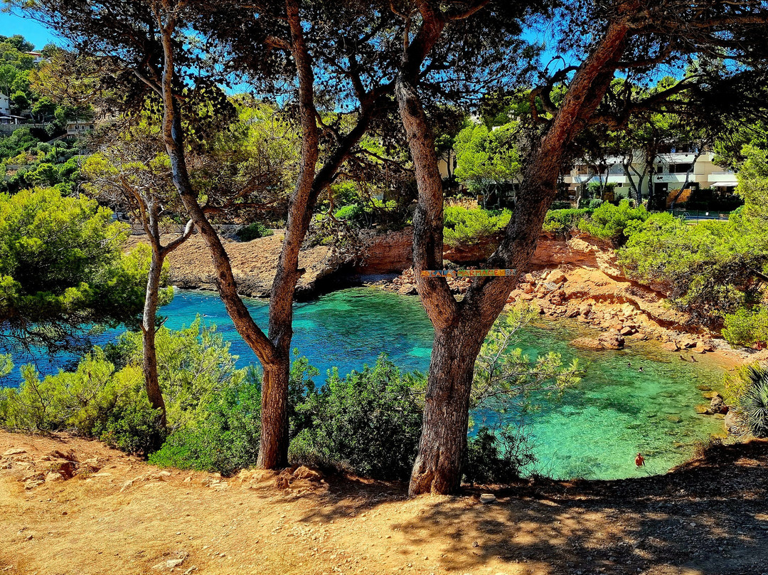 H2O Scuba Academy-Camp De Mar必去景点
