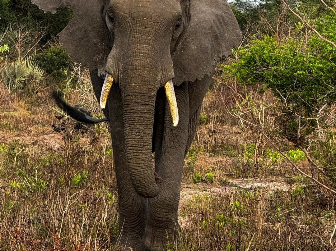 Endless Summer Tours-德班必去景点