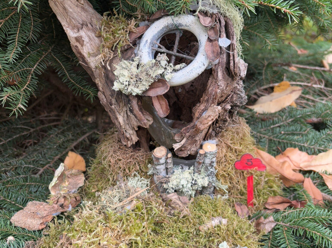 Mahone Bay Museum-Mahone Bay必去景点