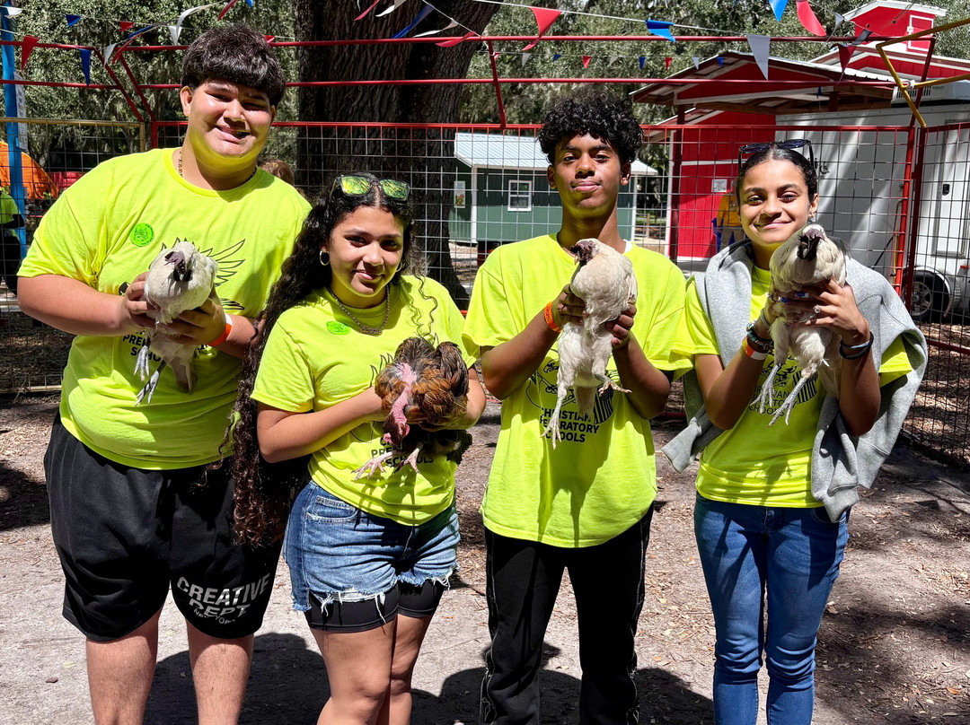 Green Meadows Petting Farm-基西米必去景点