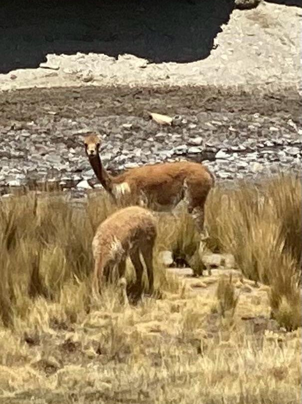 Inkamoto Tours-伊卡必去景点