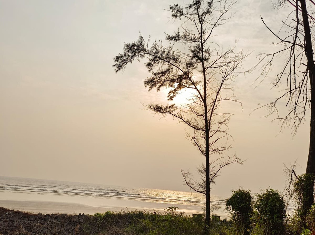 Mana Beach Resort