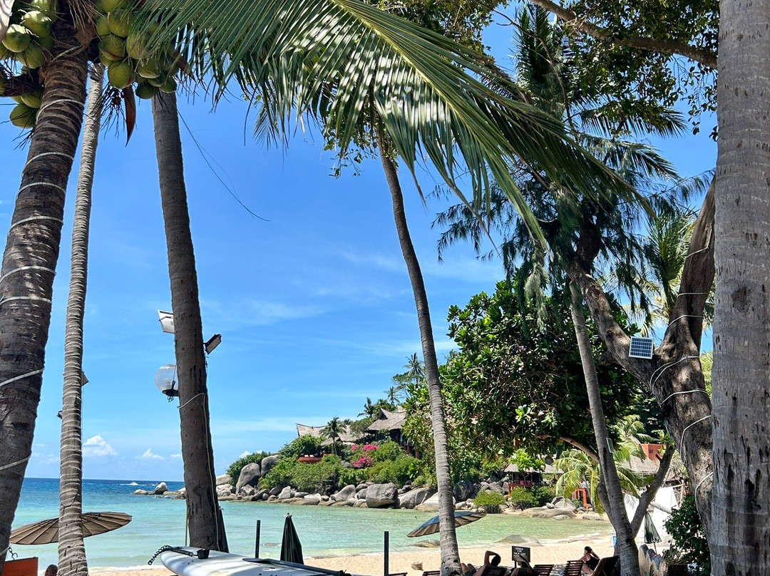 Palm Leaf Resort主图