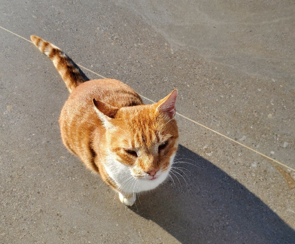 Naxos Island Escape主图