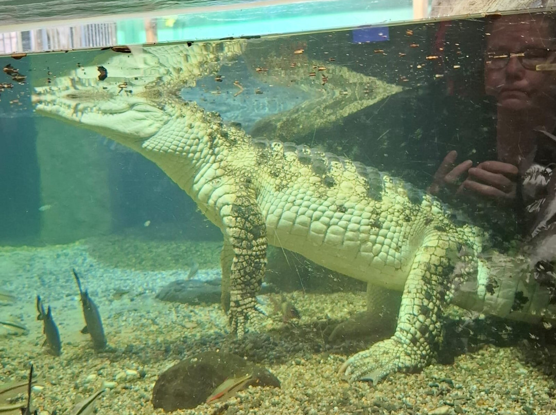 Bergen Aquarium-卑尔根必去景点