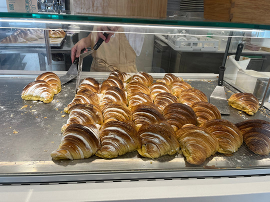 Badger Tours-塞新布拉必去景点