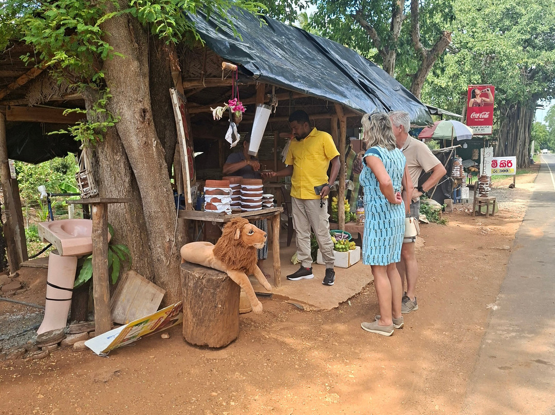 Dilshan Tours In Sri Lanka-尼甘布必去景点