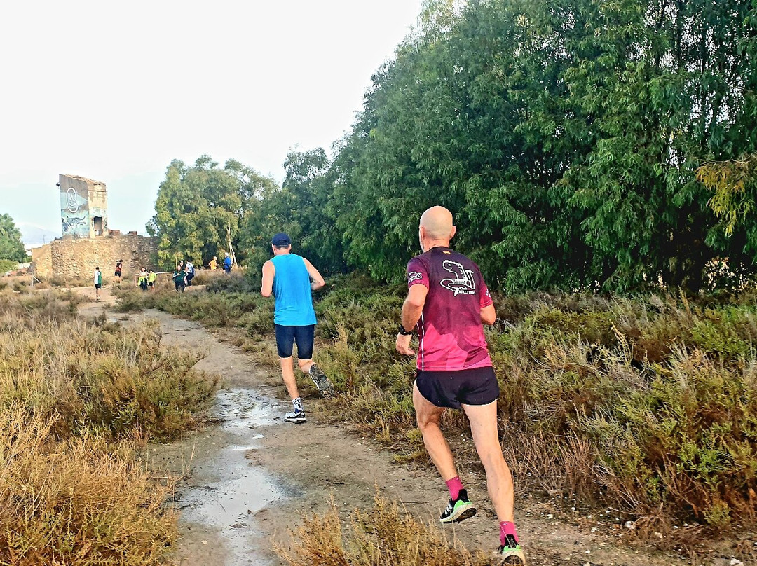 Cross Popular Solidario 12 d'octubre-El Campello必去景点