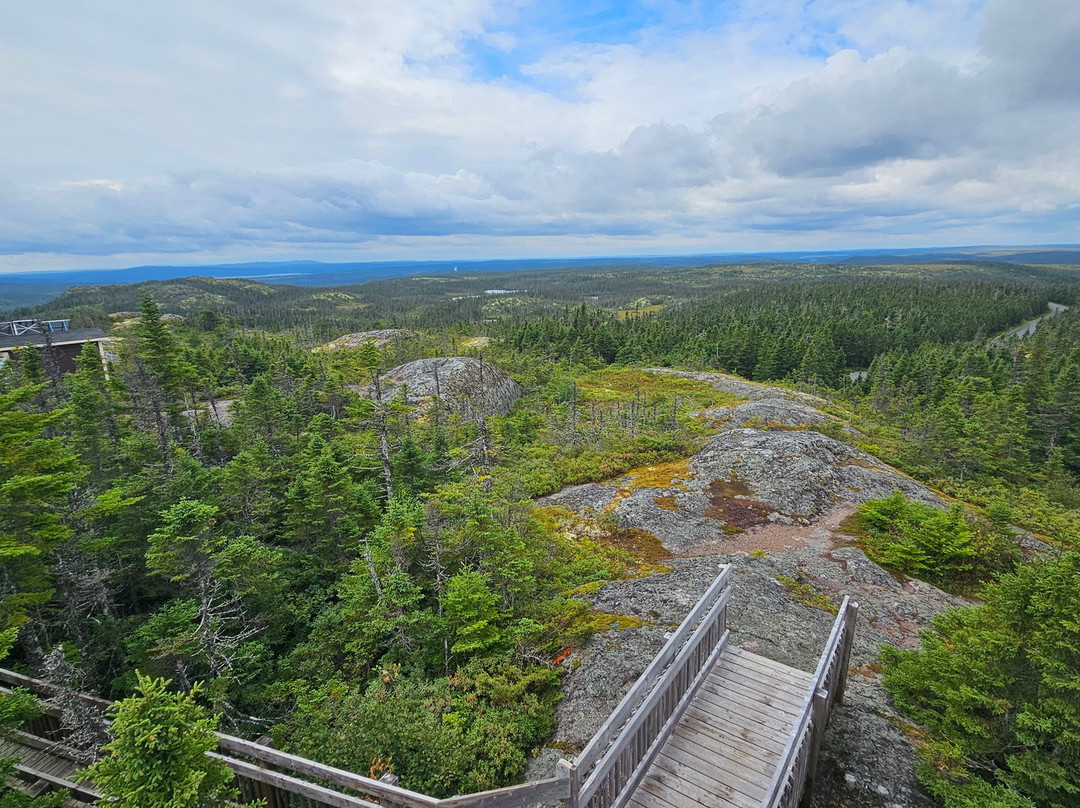 Terra Nova National Park-Glovertown必去景点