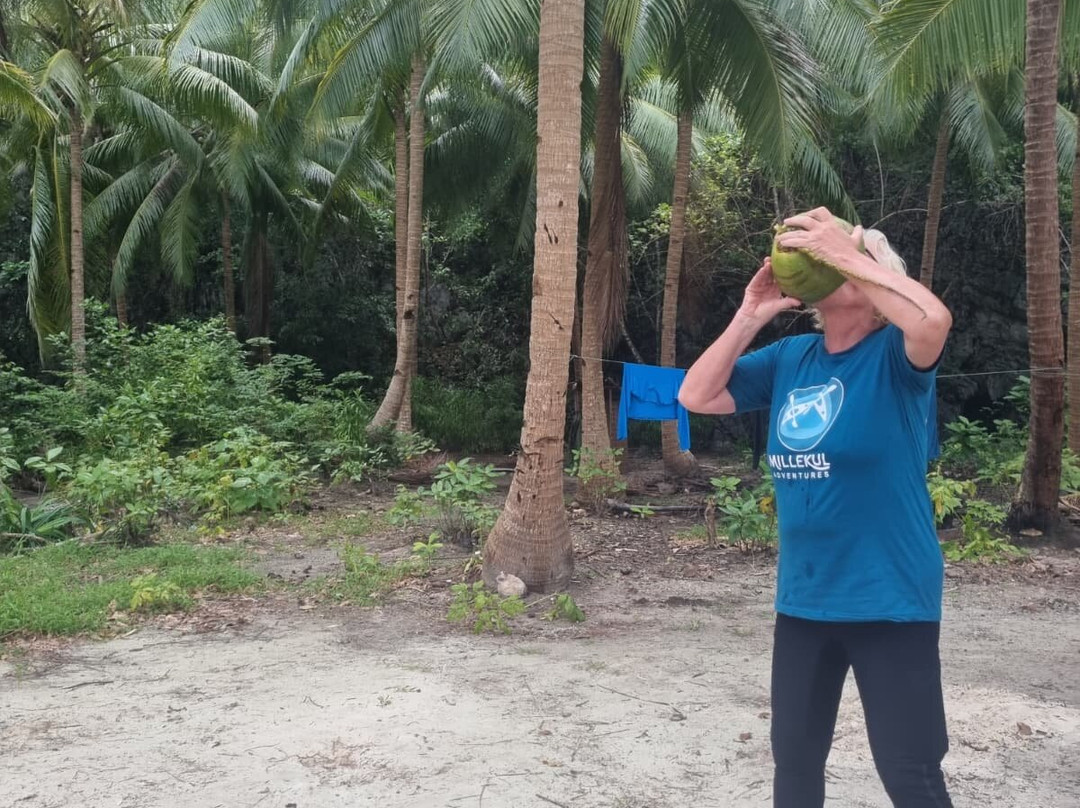 Millekul Adventures-索龙必去景点