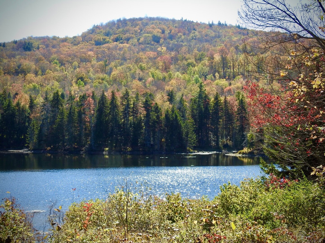 Green Mountain National Golf Course-基灵顿必去景点